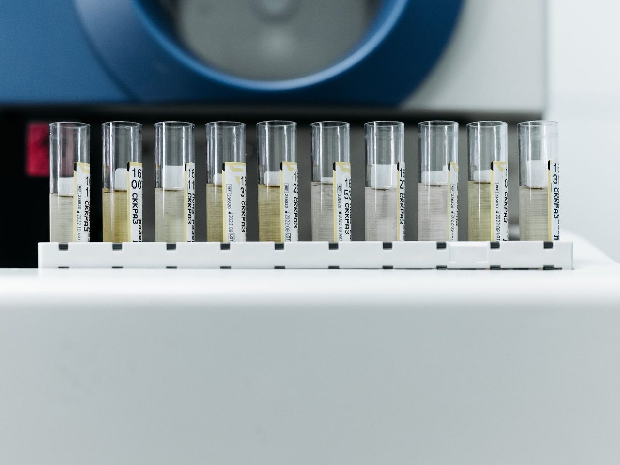 Row of labeled test tubes on a rack in a laboratory