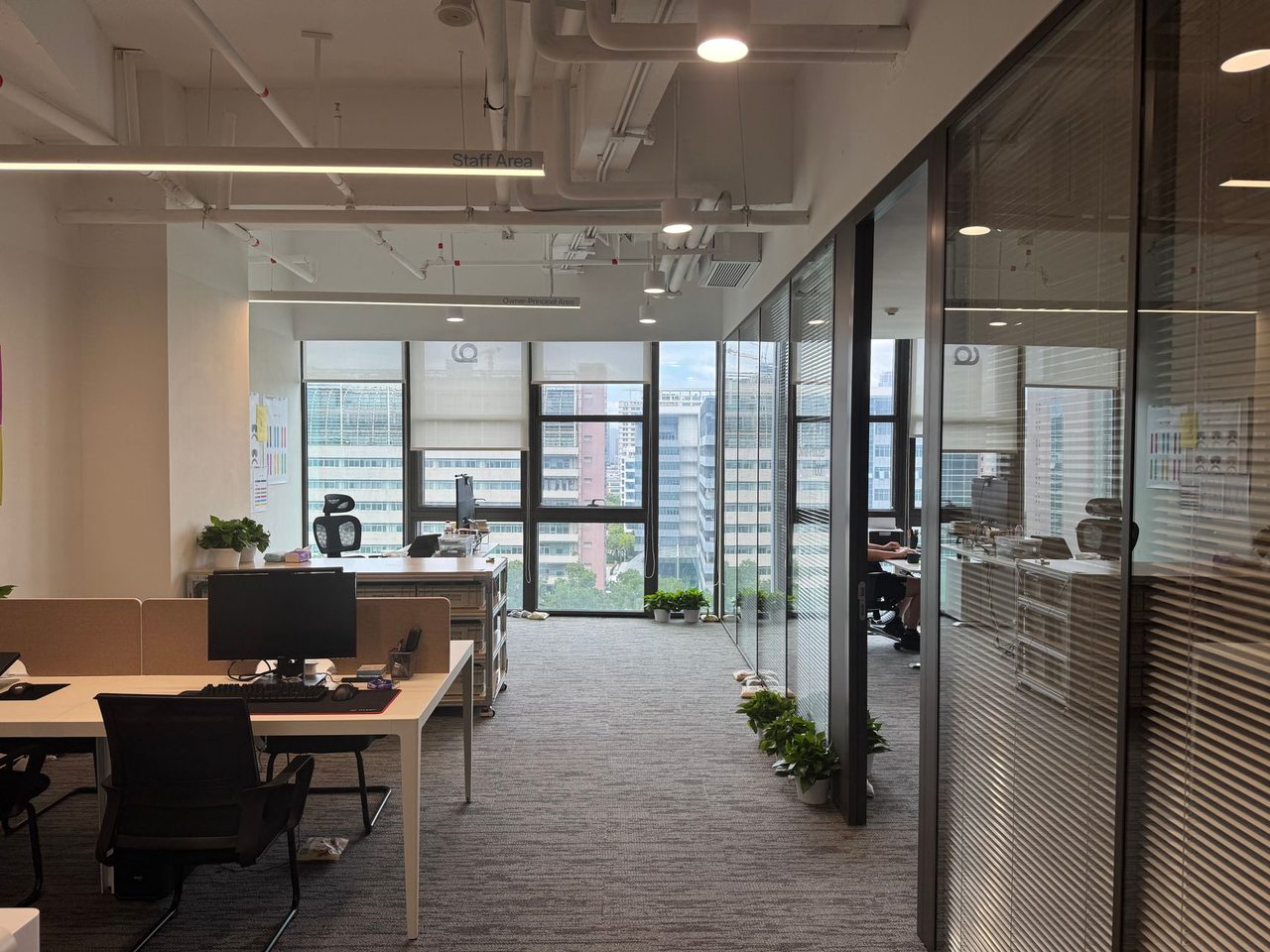 Open office with gray carpet flooring, wooden desks, black chairs, computer monitors, large windows and glass partition walls