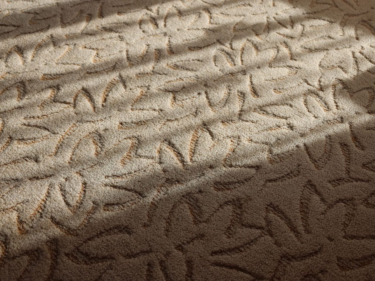 Close-up of beige carpet with a raised leaf pattern in daylight