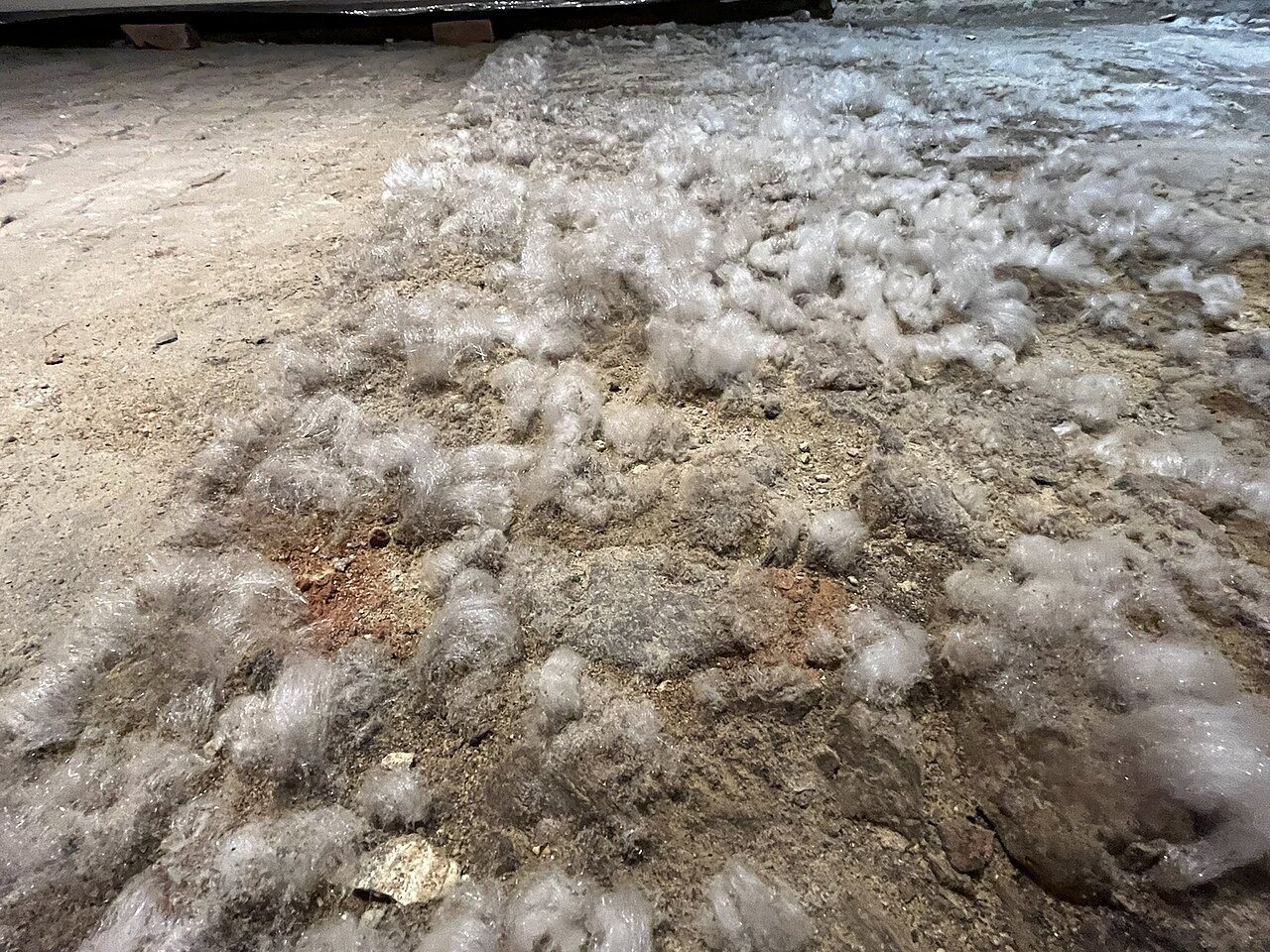 Tufts of white efflorescence crystals spread across a damp cellar floor