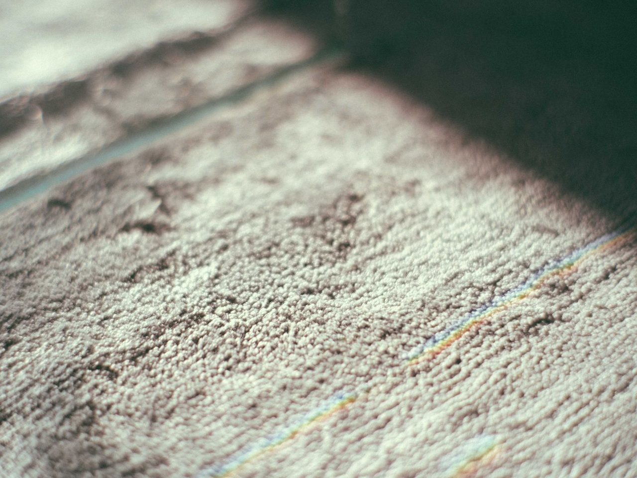 Close-up of gray textured carpet in bright sunlight