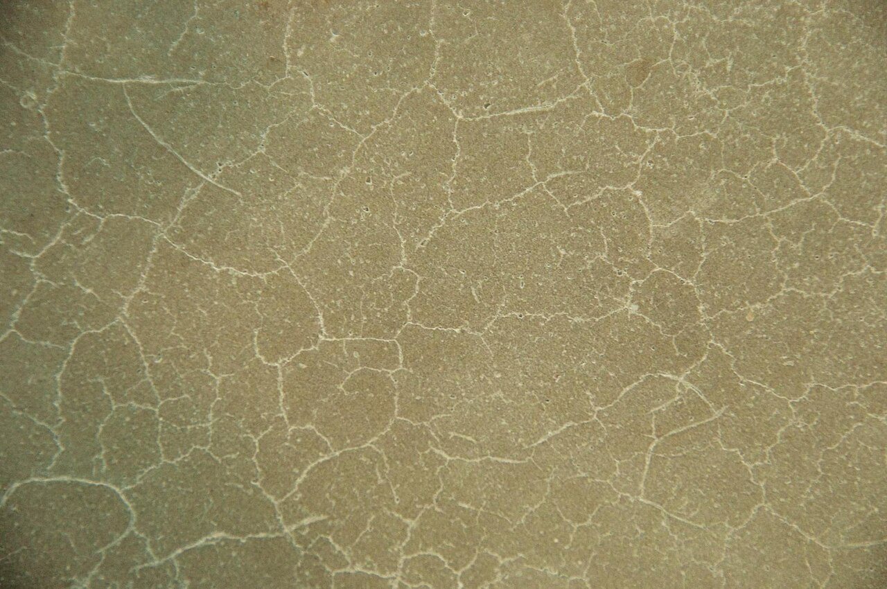 Close-up of fine hairline map cracking spread across a concrete surface