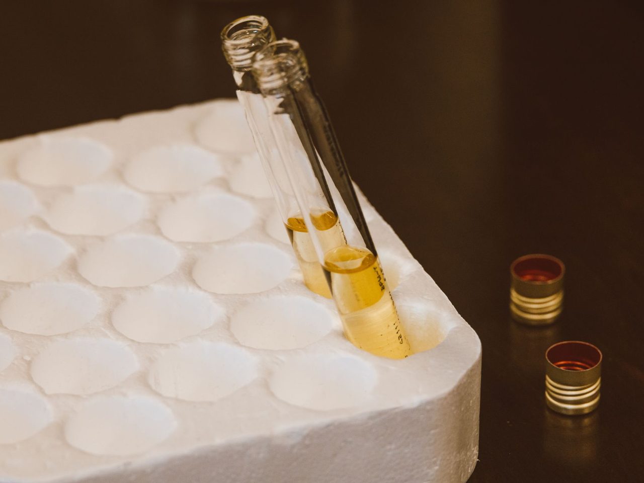Test tubes with liquid samples in a foam holder