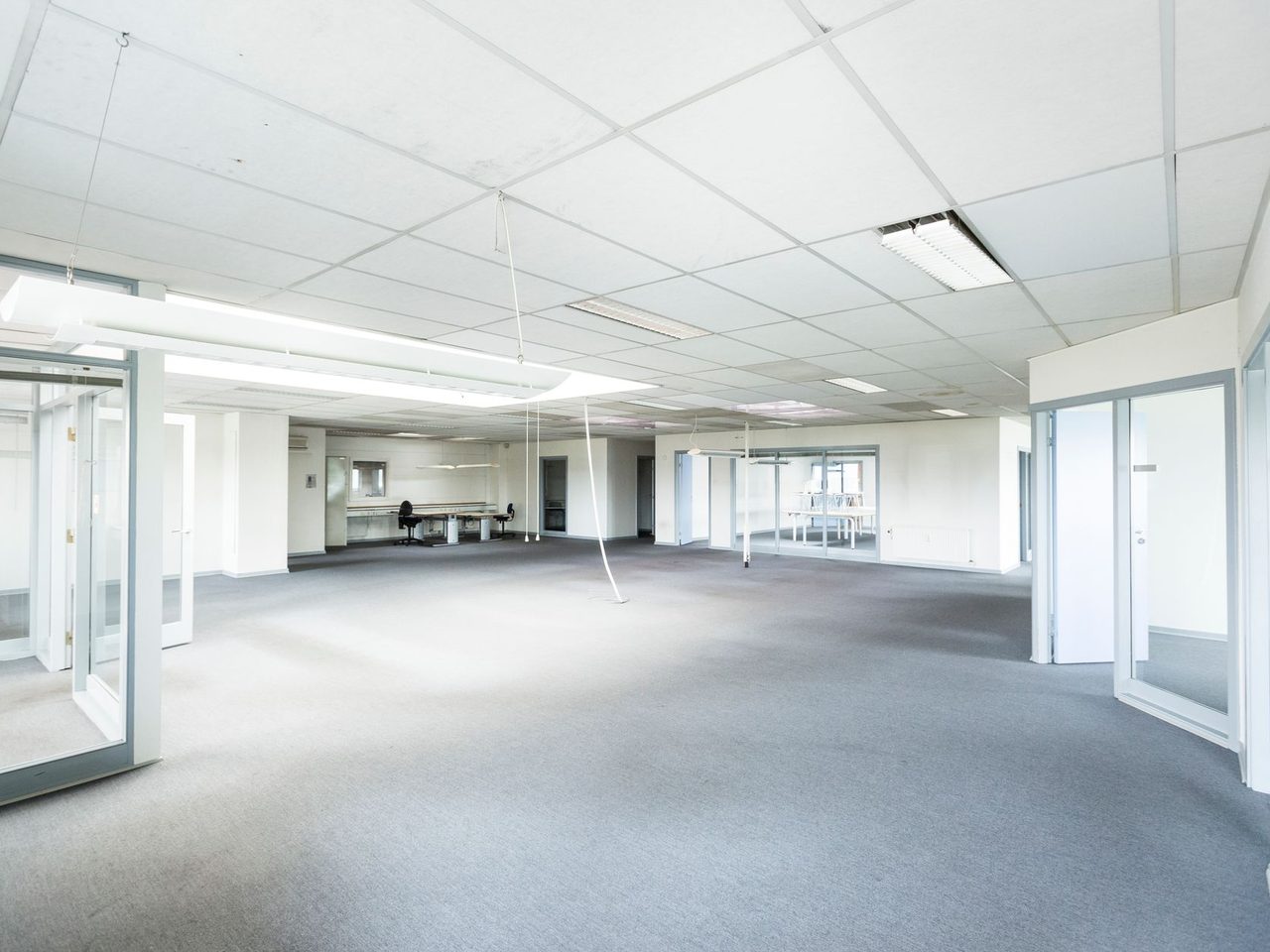 Bright empty office with gray carpet and glass partitions