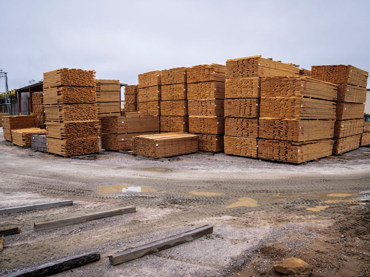 Stacks of sawn lumber at an outdoor industrial yard