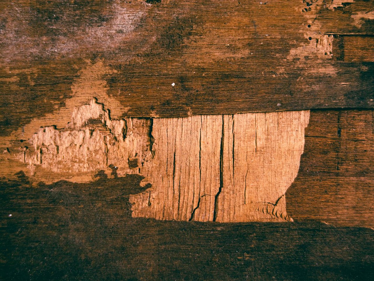 Close-up of weathered plywood with the face layer chipped away