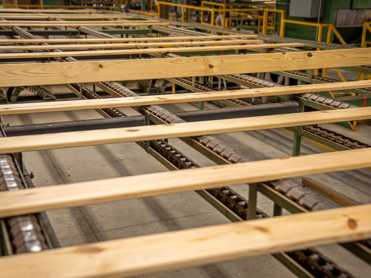 Wooden planks on a production conveyor in a factory
