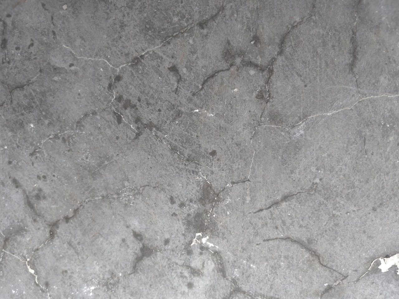 Close-up of a gray concrete surface with fine branching cracks