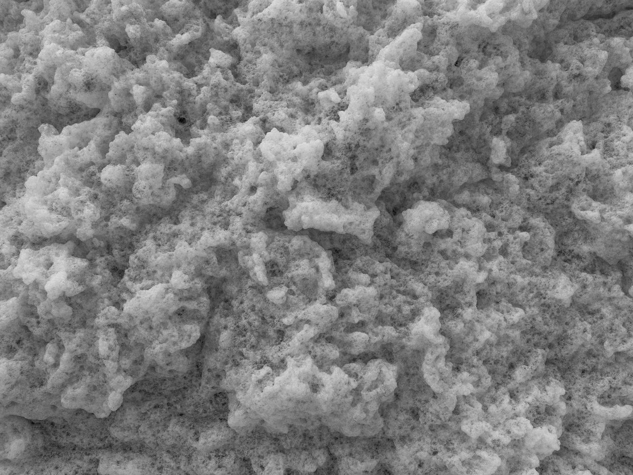 Black and white close-up of a foam-like textured surface