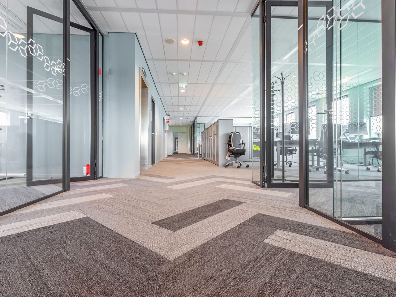 Office corridor with patterned gray carpet tile and glass partitions