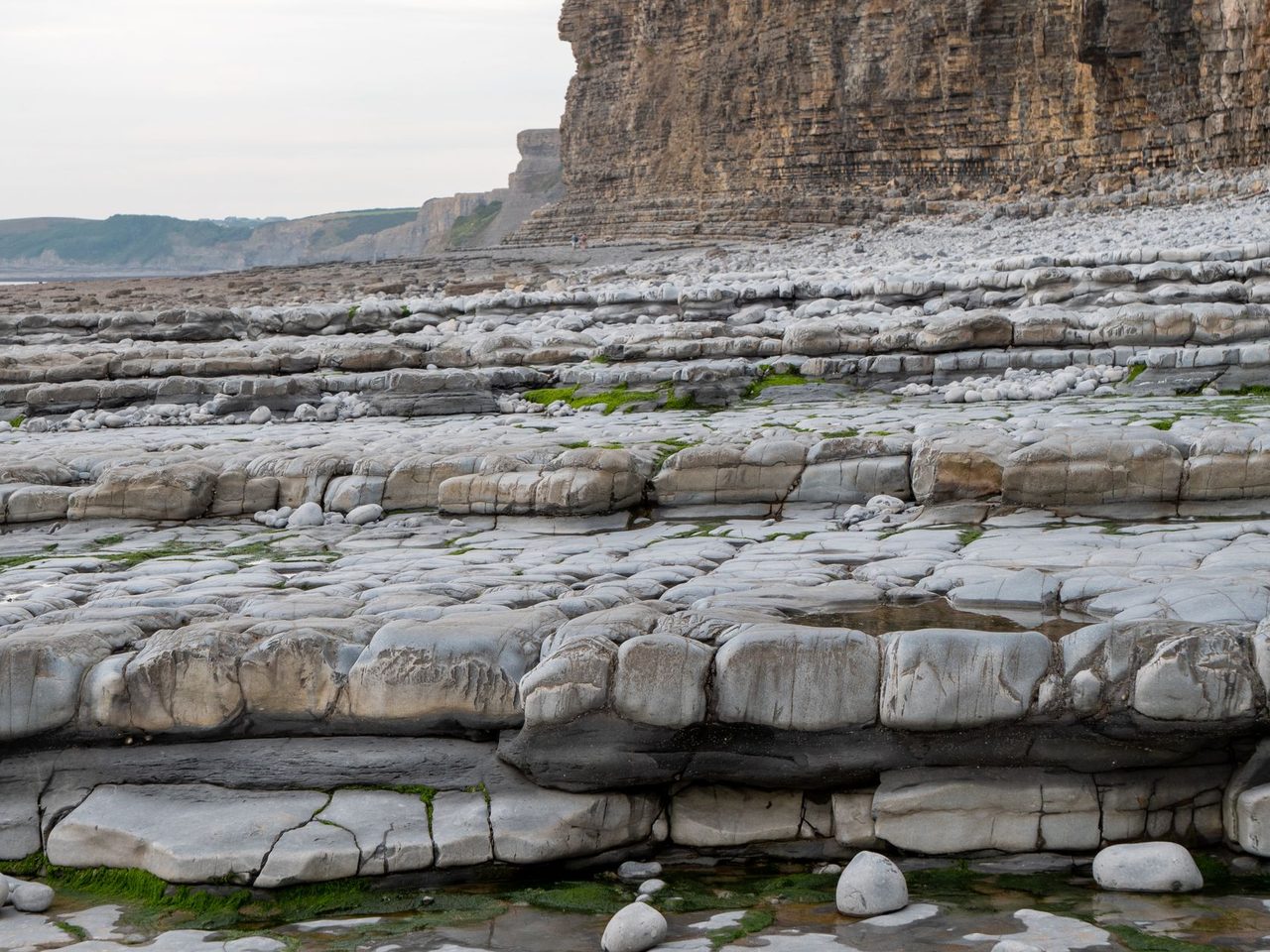 Flat layers of sedimentary rock along a shoreline below cliffs