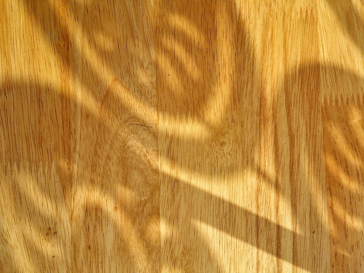 Sunlight and leaf shadows on a honey-toned wood floor