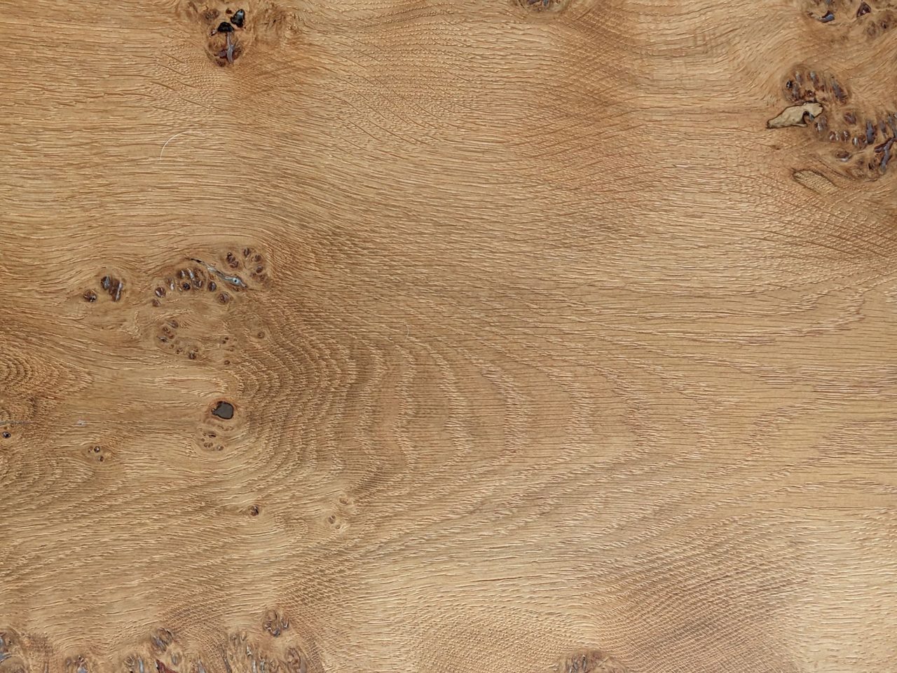 Close-up of natural oak with knots and swirling grain