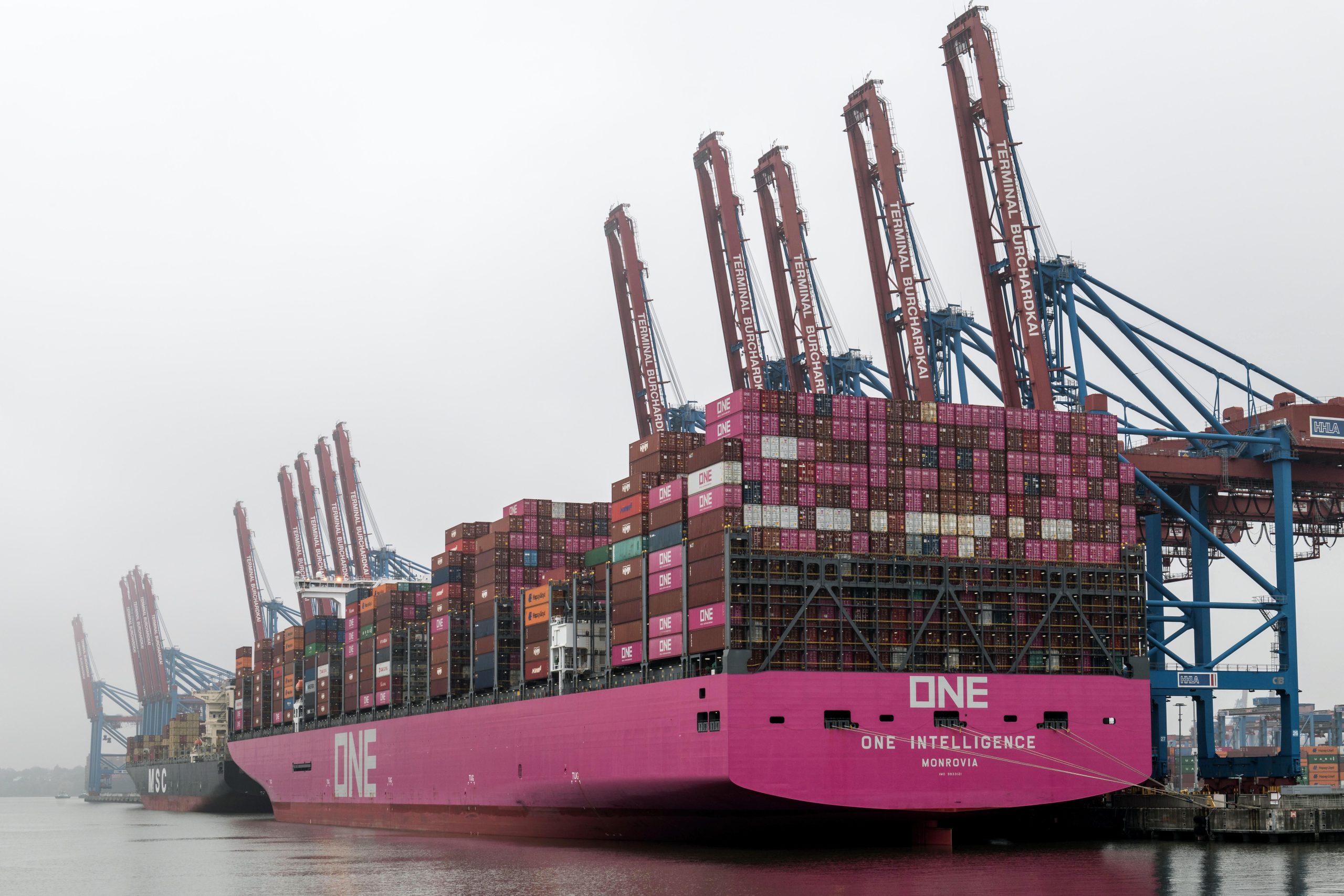 Massive cargo ship docked at Hamburg terminal with visible cranes and shipping containers.
