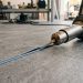 Heat-Welded Sheet Vinyl Mistakes That Open Up Later